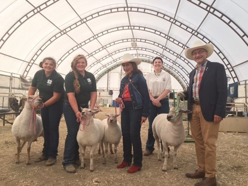 The Lieutenant Governor visits with 4H Alberta Sheep Program participants